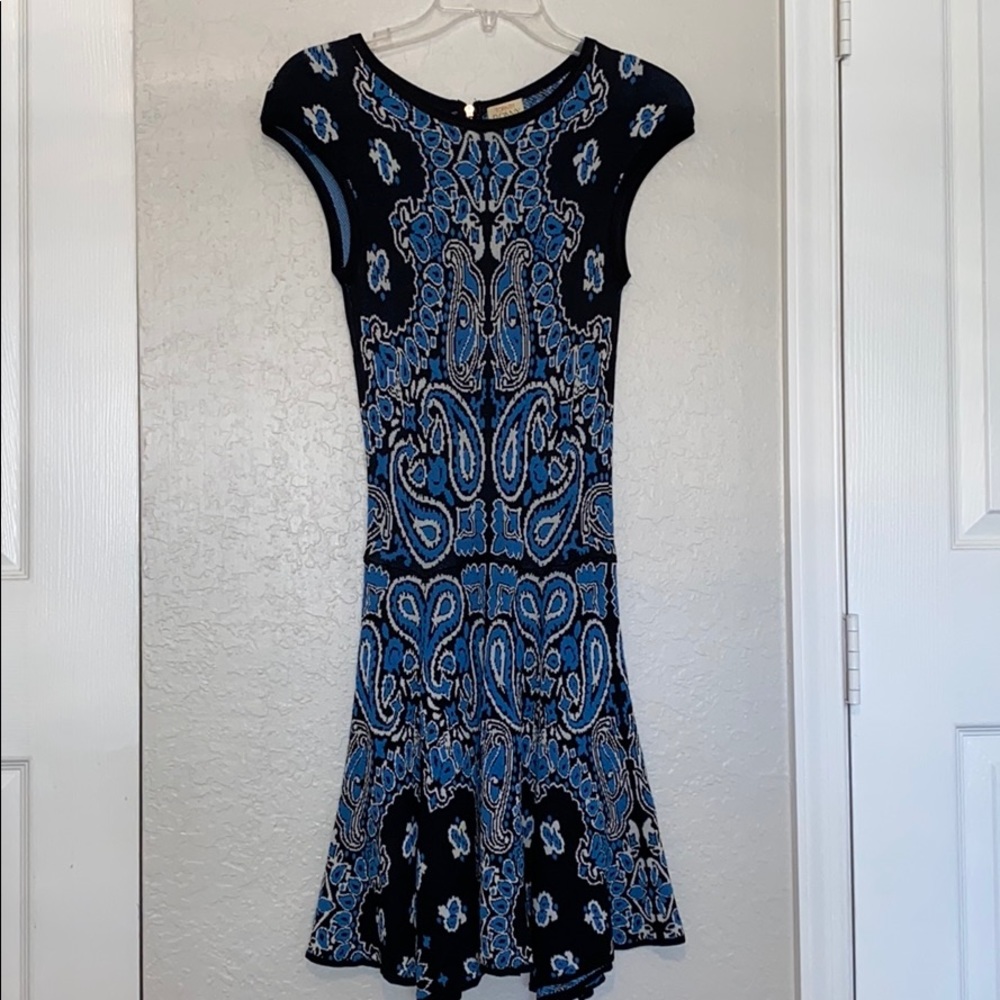 Torn by ronny kobo dress